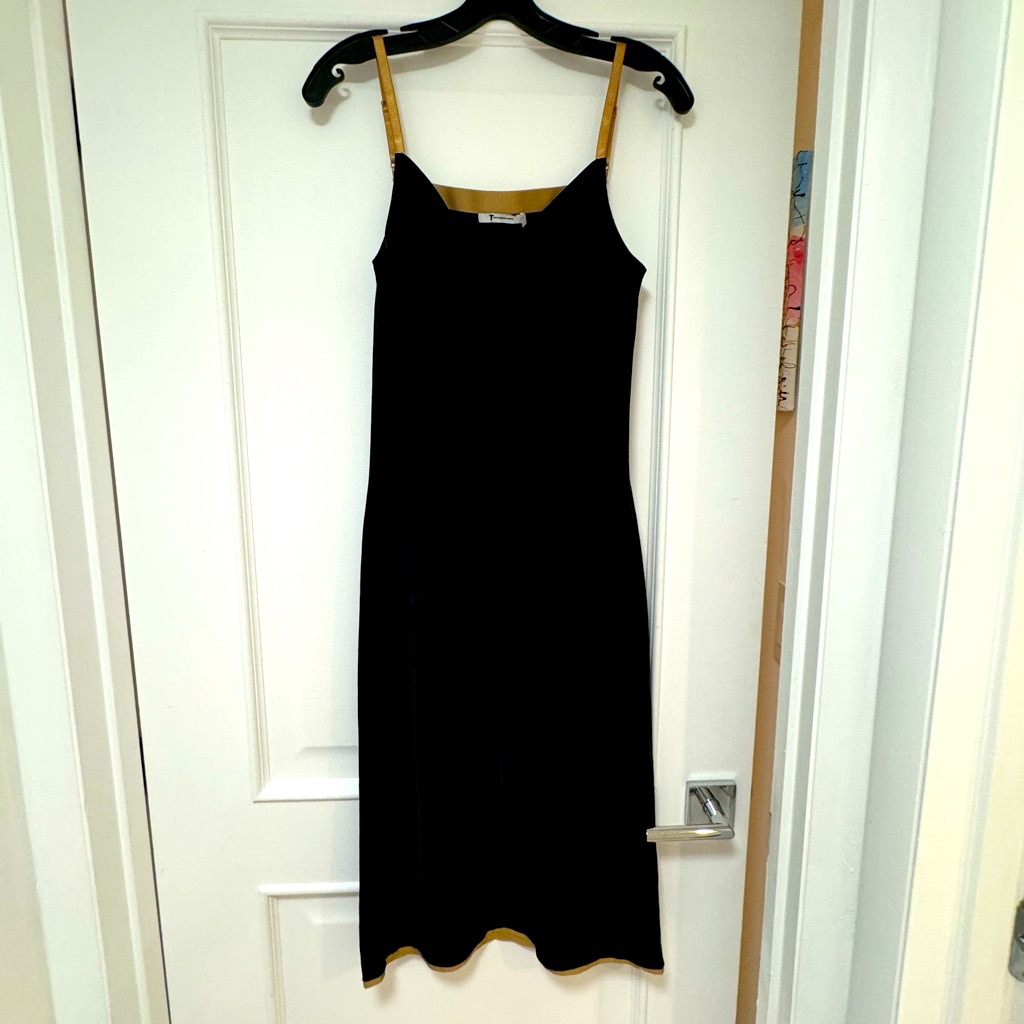 Brand New T Alexander Wang Dress